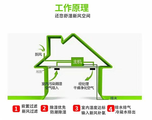新风除湿系统